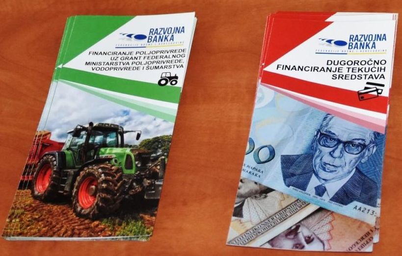 razvojna_banka