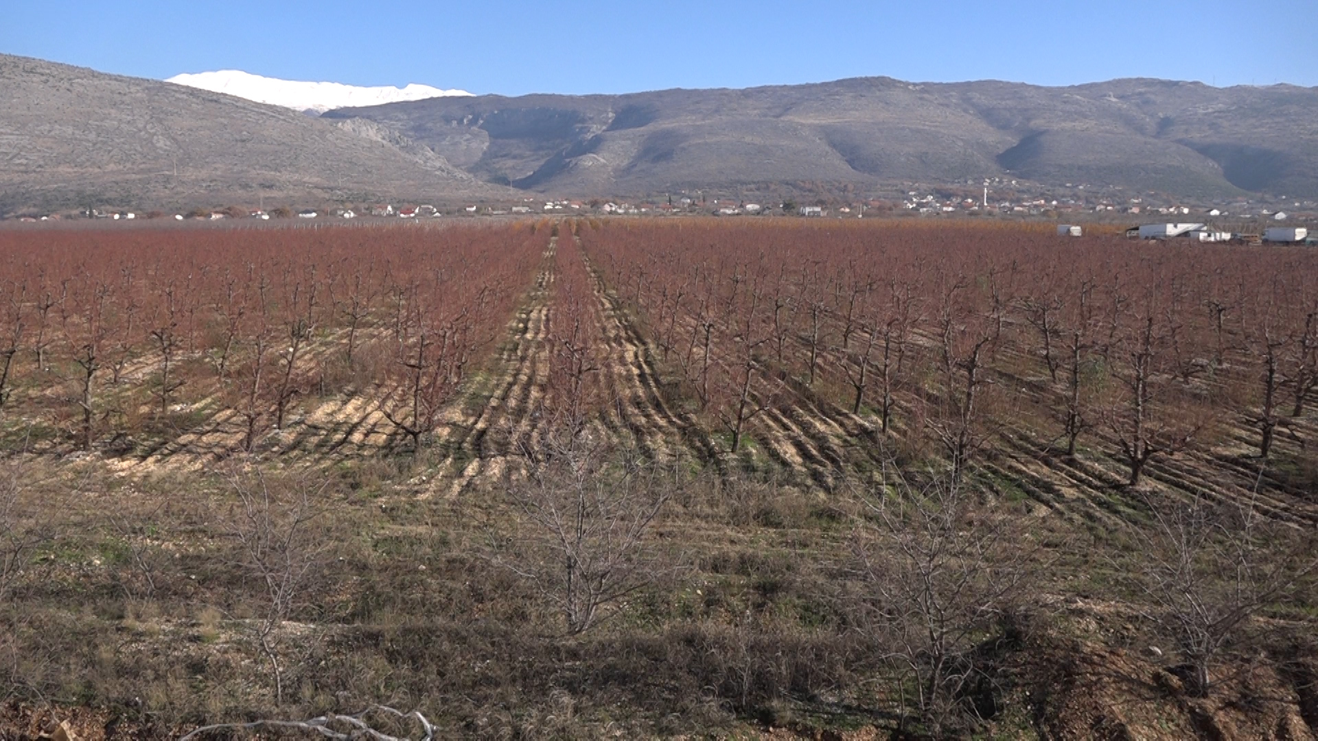 D.O.O. JAFFA-KOMERC Export-import Mostar 2