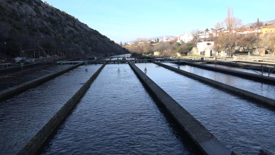 LAKS EXPORT-IMPORT d.o.o. Mostar 1